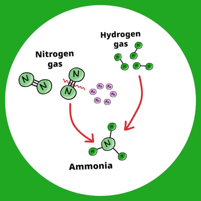 A new process for green ammonia production