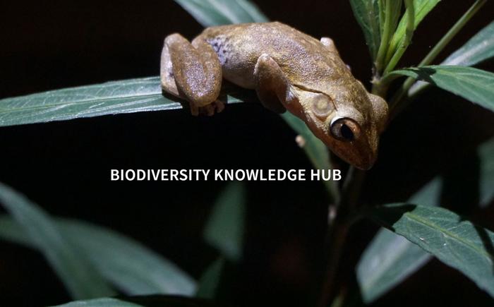 The Biodiversity Knowledge Hub is considered to be the main outcome of the BiCIKL project