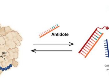 A new anticoagulant with no risk of bleeding