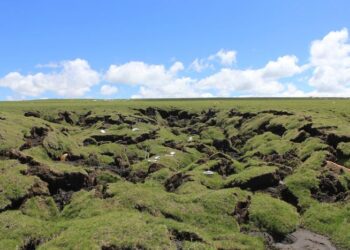 Thermokarst landscape on the Tibetan Plateau