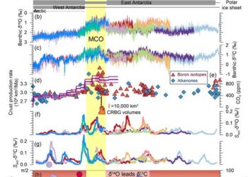Evolutive phase relationship between benthic δ18O and δ13C records at the 405-ka cycle during the Oligo-Miocene.
