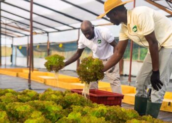 Tropical Growers