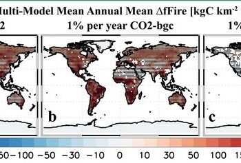 Fertilizer effects of CO2