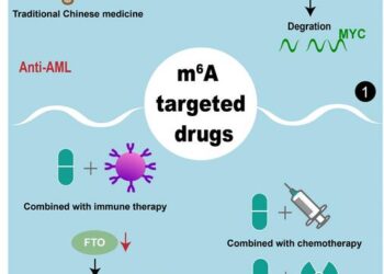 Review highlights the pathogenic role of post-transcriptional RNA modifications in acute myeloid leukemia