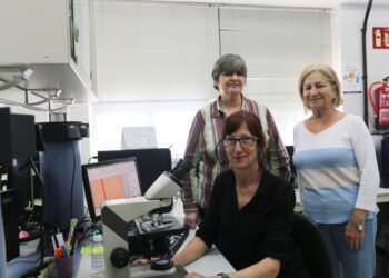 Impact of the climate change on airborne Quercus pollen trends in Andalusia region