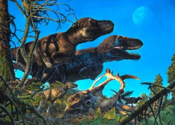 Arctic dinosaurs