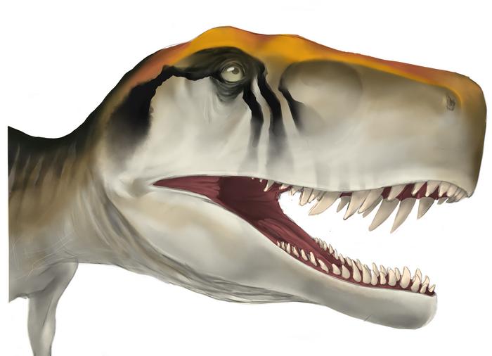 Osteohistological insight into the growth dynamics of early dinosaurs and their contemporaries