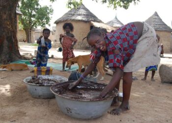 Local production of shea butter in Burkina Faso