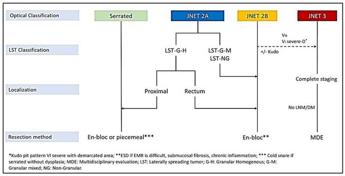 Flow chart for the management of large non-pedunculated colorectal polyps.