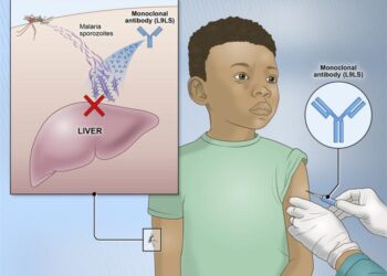 A single injection of an experimental monoclonal antibody called L9LS prevented malaria infection in children in Mali.