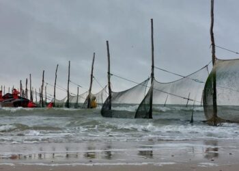 NIOZ fyke at North Sea inlet Marsdiep near Texel since 1960
