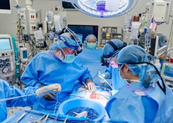 Gene-edited pig kidney and thymus transplant