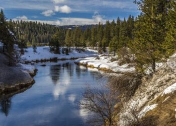 First-of-its-kind study definitively shows that conservation actions are effective at