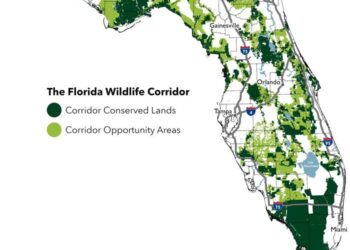 The Florida Wildlife Corridor