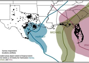 FL TX survey respondents