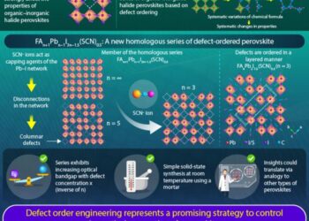 Making Progress in Defect-Based Ordering in Hybrid Perovskites