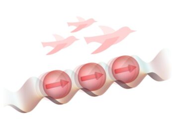 A strange similarity between flocking birds and ferromagnetic order in particles