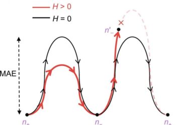 Figure 1 (a)