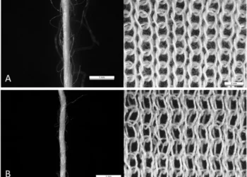 Comparison of yarn hairiness