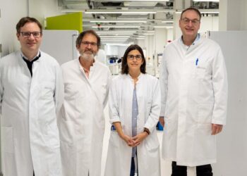 Bonn researchers provide insight into the choreography of immune cells during the fight against viruses: