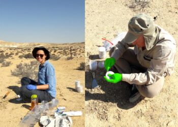 First authors Stefanie Imminger and Dimitri Meier sampling biocrusts in the Negev Desert, Israel.