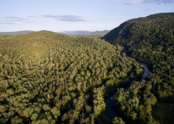 Dartmouth's Second College Grant