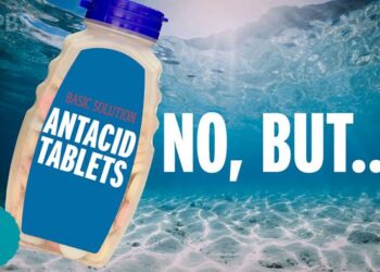 Is there a quick fix for ocean acidification? (video)