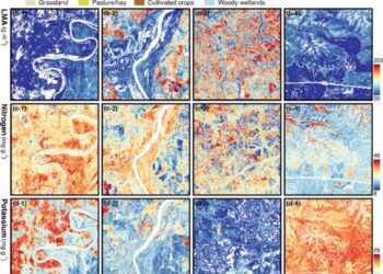 Mapping Plant Functional Diversity from Space: HKU Ecologists Revolutionise Ecosystem Monitoring with Novel Field-Satellite Integration