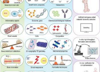 Materiobiology reshaping the development process of aging bone regeneration materials