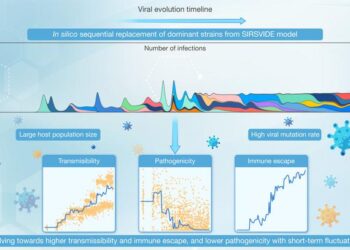 Modeling viral evolution: A novel SIRSVIDE framework with application to SARS-CoV-2 dynamics