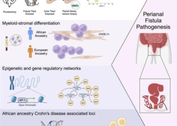 graphical abstract-abnormal tissue tunnels in Crohn's disease