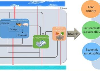 graphical abstract
