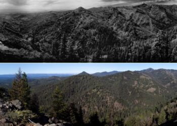 Wenatchee National Forest