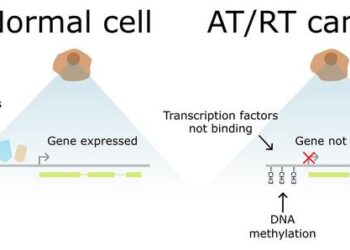 DNA methylation