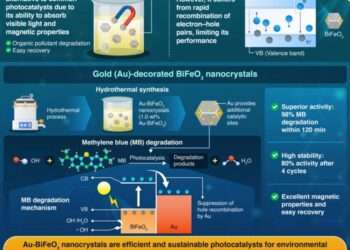 Gold-Decorated BiFeO3 Nanocrystals for Efficient and Sustainable Purification