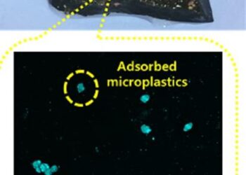 Microplastic adsorption on hydrogel and fluorescent-tagged microplastic detection via spectroscopy