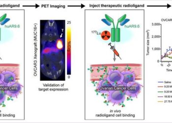 Radiotheranostic platform that employs a MUC16-targeting humanized antibody, huAR9.6.
