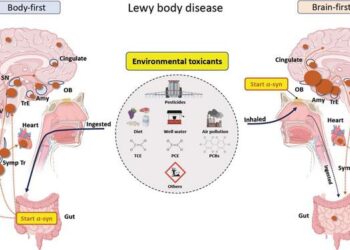 New Model of How Environmental Toxicants May Trigger Parkinson's Disease