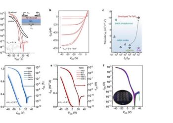 Electrical characteristics of an amorphous p-type thin-film transistor utilizing tellurium oxide