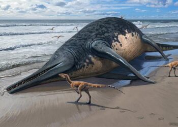 The last giants: New evidence for giant Late Triassic (Rhaetian) ichthyosaurs from the UK