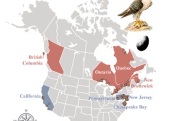 Map of peregrine falcon egg sampling sites across North America