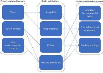 Integrative framework of the links between brain and behavioural abnormalities due to poverty