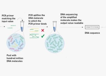 The language of the DNA world uses the letters A, T, C and G. With suitable rules, however, this can easily be translated into a digital sequence of 0s and 1s.