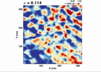 Video of a Wigner crystal