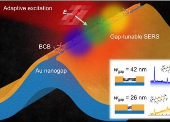 A Raman sensor featuring tunable gap fabricating of gold nanogaps on a flexible substrate, facilitating easy bending
