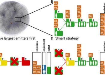 Identifying decarbonization leverage points