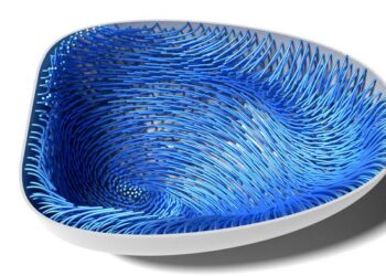 Simulation Shapshot