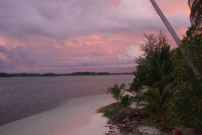 Convergent evolution in the Solomon Islands