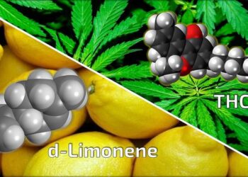 D-limonene