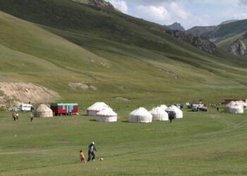 The scientists studied contemporary patrilineal populations.